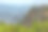 中国黄山景观图片下载