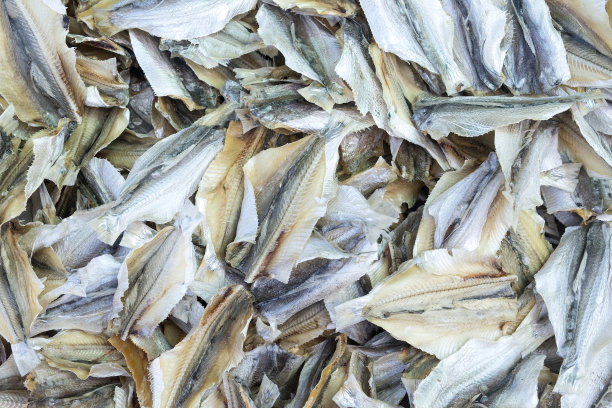 干小鱼的俯视图图片下载