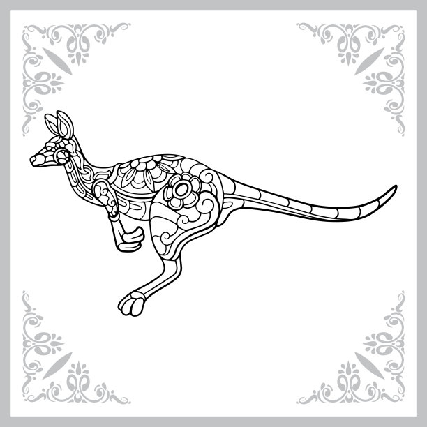 袋鼠涂鸦艺术。孤立在白色背景。图片下载