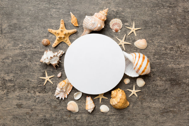 夏天的时间概念与空白贺卡和空白白纸彩色背景。贝壳从海洋海岸的形状框与文字顶部的空间分开图片下载