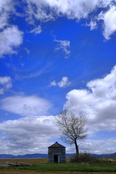 老粮仓粮食和树在农场地面与天空和云图片下载