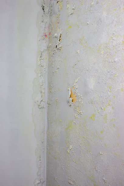 墙上有黑色的霉菌。房子被洪水淹没后，墙上长满了真菌。图片下载