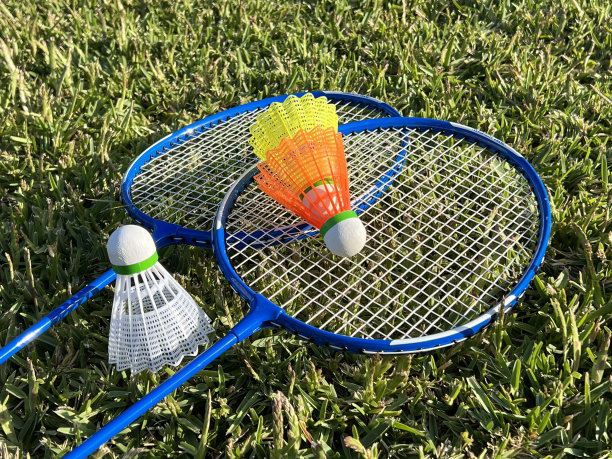 羽毛球器材。没有人的运动器材图片下载