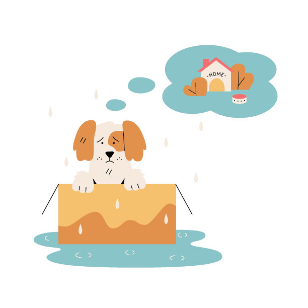 流浪狗梦见家和家人图片下载