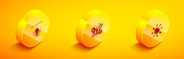 设置等距蜘蛛蝴蝶和太阳图标图片下载