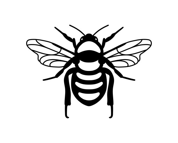 矢量手绘插画蜜蜂。孤立的黑色剪影在白色背景图片下载