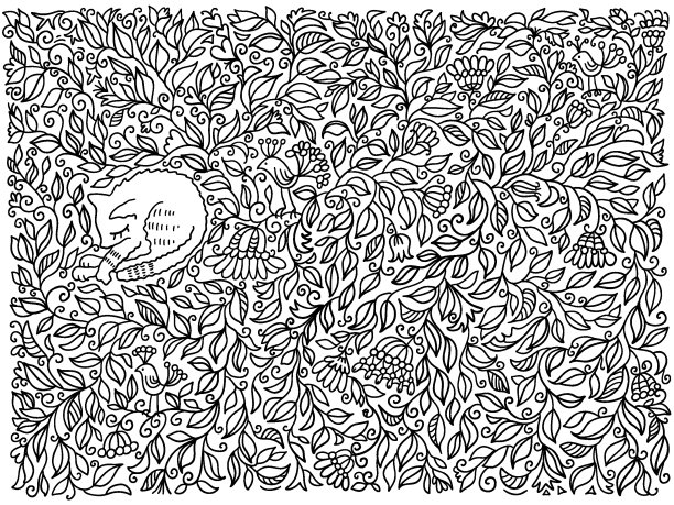 手绘花卉装饰背景与可爱的睡觉的猫。矢量素描花涂鸦孤立在白色图片下载