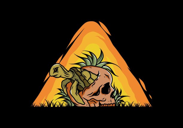 骷髅图中的海龟图片下载