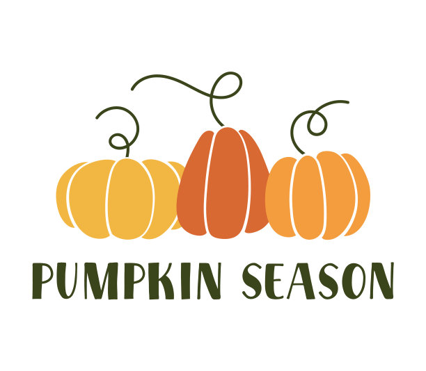 南瓜季节套扁橙南瓜图片下载