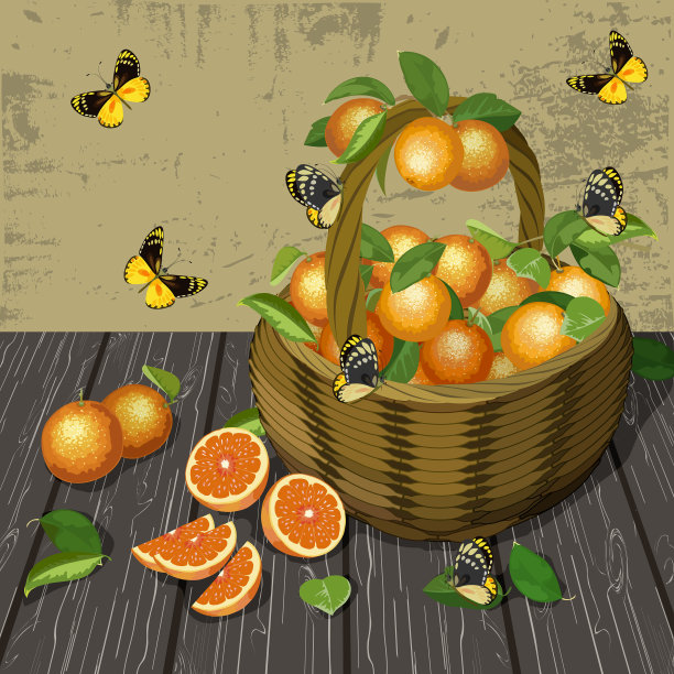 蝴蝶和一篮子橘子图片下载