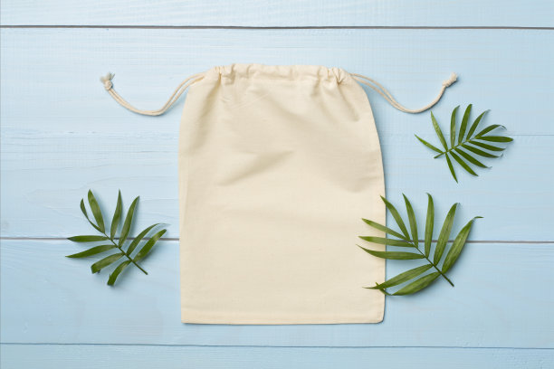 绿色环保小袋，彩色背景。俯视图图片下载