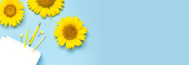 俯视图平面布局的工作空间办公桌风格设计与向日葵，白色纸袋铅笔钢笔笔记本日记纸夹在蓝色的背景。教育概念文具。向日葵自然背景图片下载