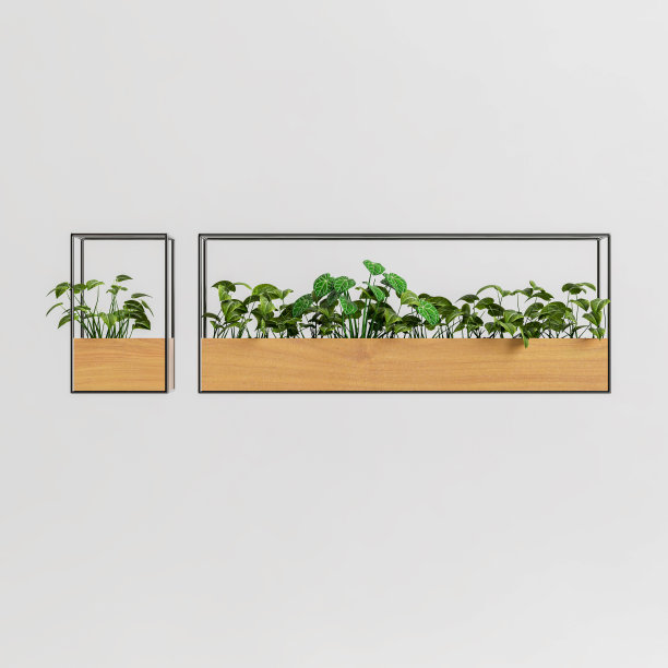 室内植物的3d插图在墙上隔离的白色背景图片下载