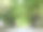 公园里有树的小巷。春天，绿树成荫的人行道穿过公园图片下载