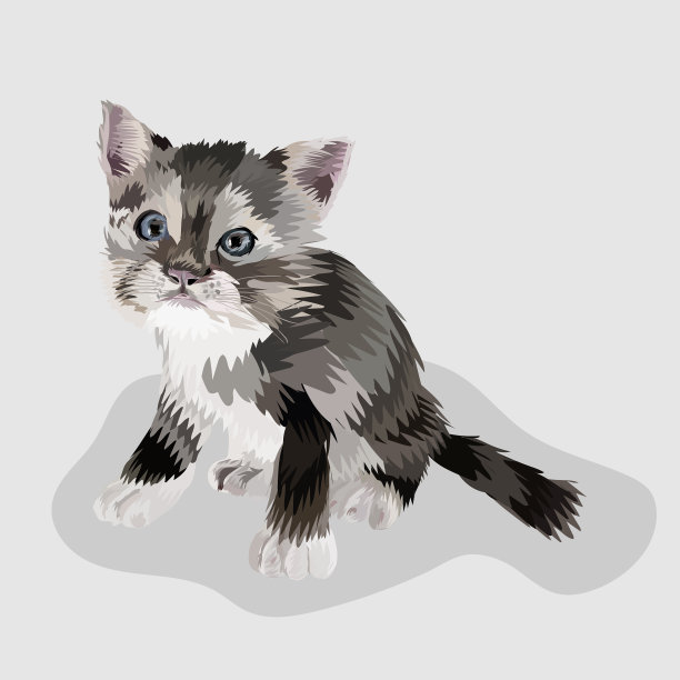 猫孤立现实手绘和白色图片下载