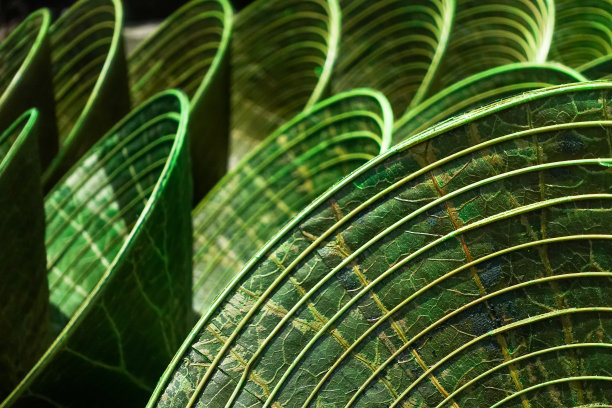 亚洲风格的圆锥形帽子，由绿色的荷叶制成图片下载