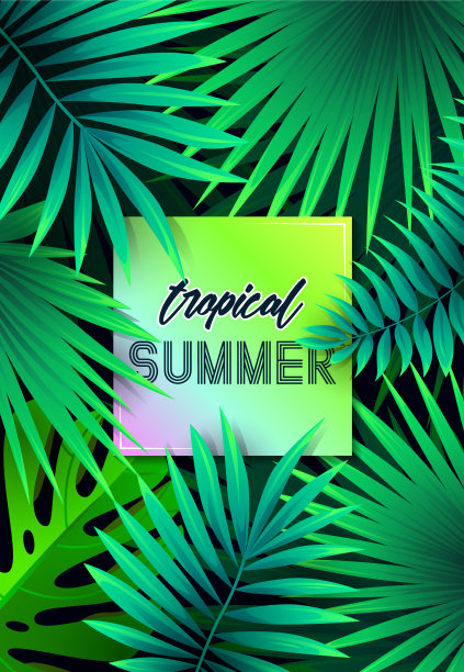 夏季热带背景设计图片下载
