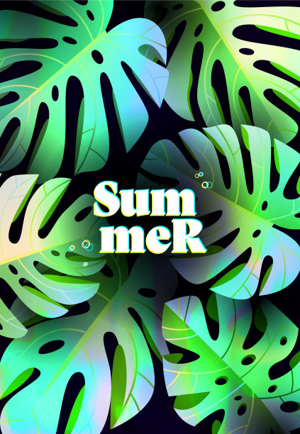 夏季热带背景设计图片下载