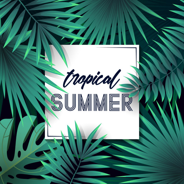 夏季热带背景设计图片下载