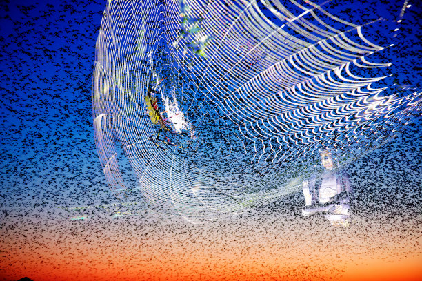 有创意的照片。图片下载