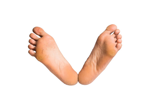 脚或一双光脚在孤立的背景图片下载