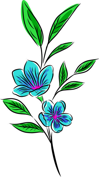 带叶子的蓝色彩色花朵图片下载