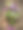 浪漫的春花花束图片下载