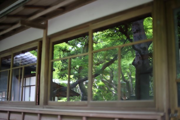 日本公共花园。图片下载