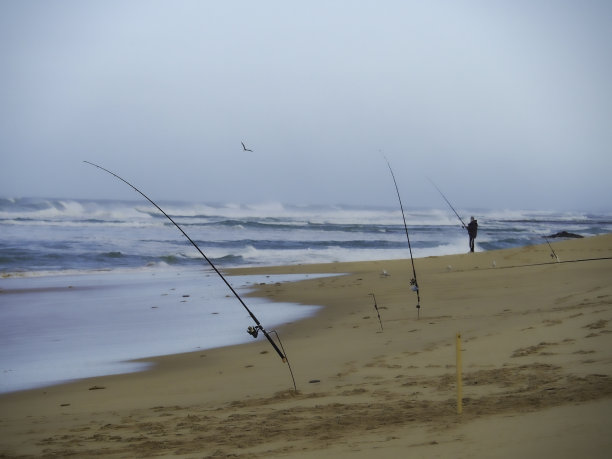 海滩上空空的鱼竿图片下载