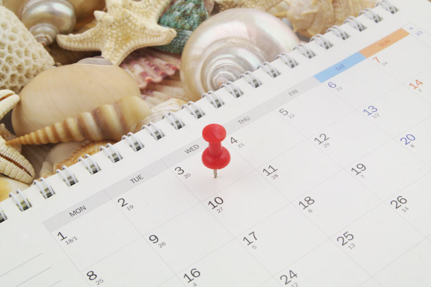 日历与推针在贝壳的背景。图片下载