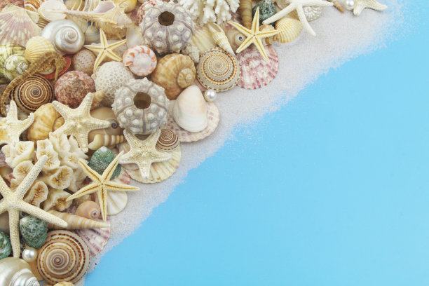 蓝色是贝壳和海星，蓝色是珍珠和珊瑚图片下载