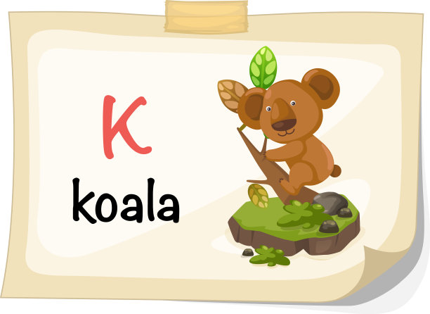 动物字母表，字母k代表考拉图片下载