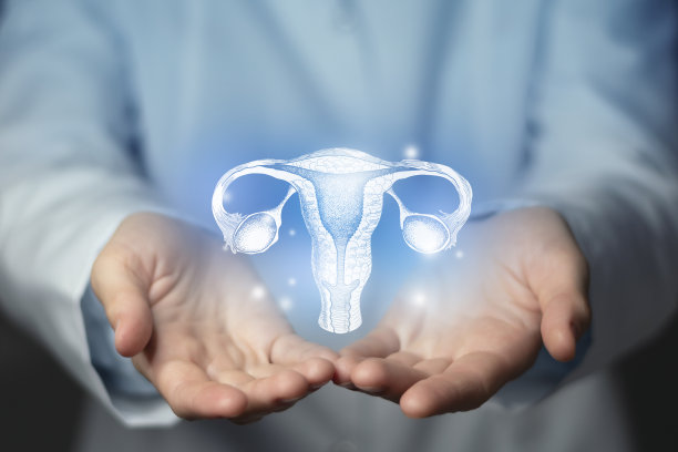 妇科医生，妇科专家。美学手绘突出插图的人类子宫。中性灰色背景，工作室照片和拼贴。图片下载