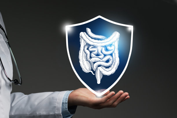 无法辨认的女医生手持盾牌和肠道器官的图形虚拟可视化。图片下载