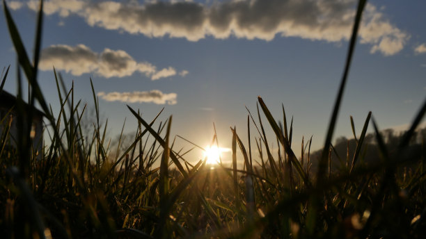 金字塔形的草图片下载