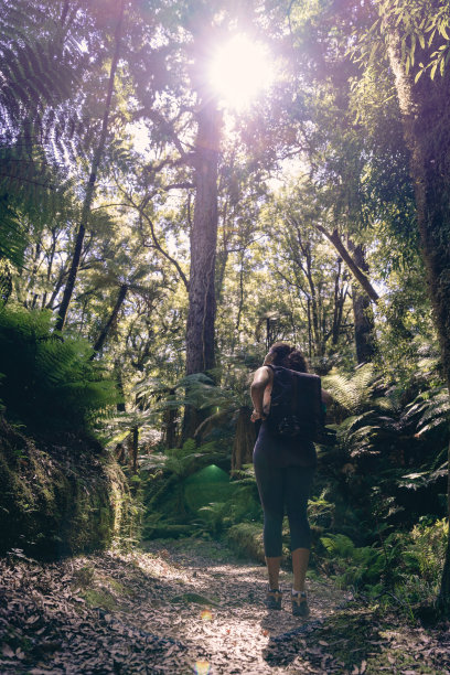 年轻女子在新西兰的森林中徒步旅行图片下载