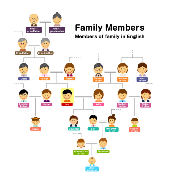 家谱(家族成员)矢量图图片下载