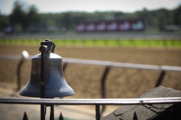 在跑道上赛马图片下载