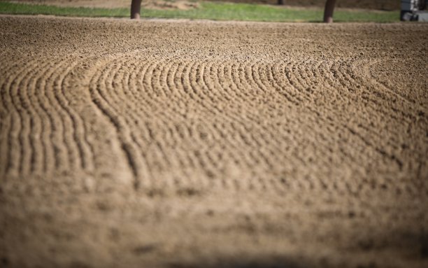 在跑道上赛马图片下载