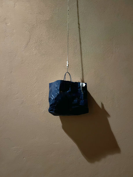 垃圾是挂图片下载