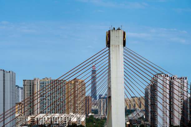 阳光明媚的现代城市图片下载