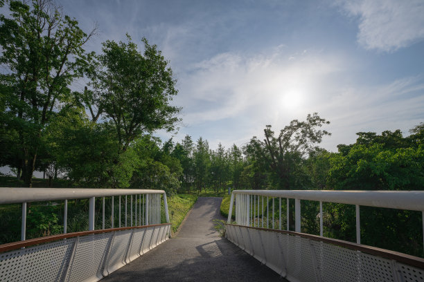 阳光明媚的天桥和树木图片下载