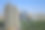 阳光明媚的现代城市图片下载