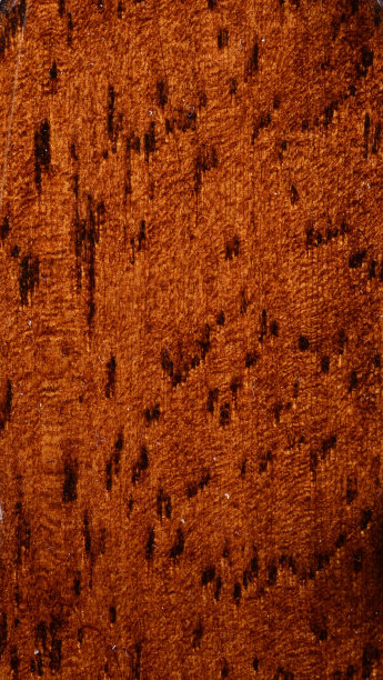 四分之一锯北约木在红木颜色图片下载