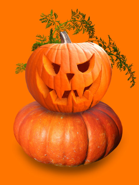 桔色背景下分离的南瓜性状图片下载