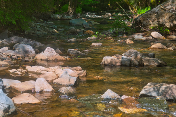图林根州伦斯泰格的夏天图片下载