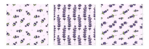 薰衣草开花植物枝干图案固定图片下载