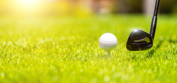 高尔夫球铁球杆准备在高尔夫球场的绿草地上击球图片下载