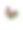 水彩画帝王蝶俯瞰树叶组成。插图孤立在白色背景上。图片下载