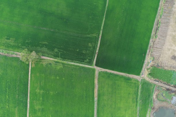 绿色稻田鸟瞰泰国乡村图片下载
